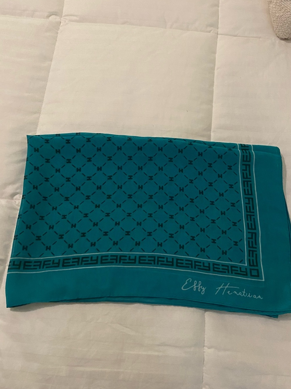 Effy Hematian Teal Patterned lightweight scarf